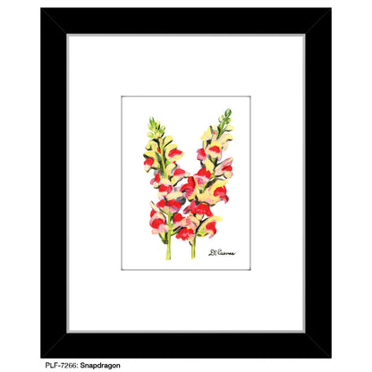 Snapdragon, Print (#7266)