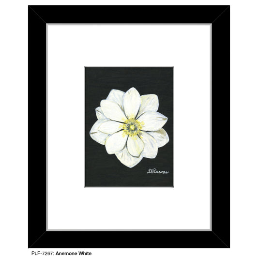 Anemone White, Print (#7267)