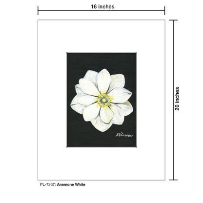 Anemone White, Print (#7267)