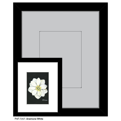 Anemone White, Print (#7267)