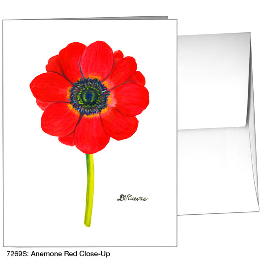 Anemone Red Close-Up, Greeting Card (7269S)