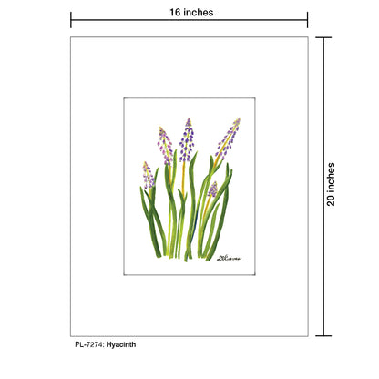 Hyacinth, Print (#7274)