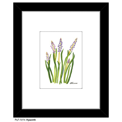 Hyacinth, Print (#7274)