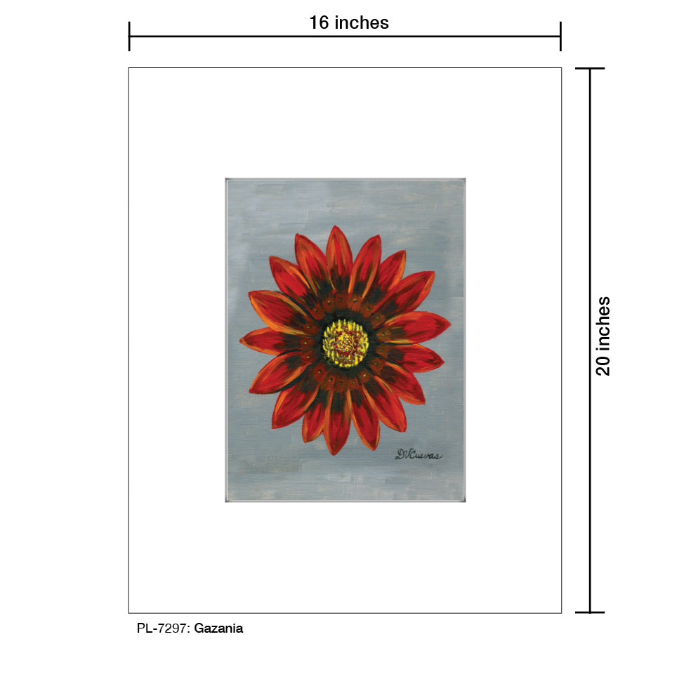 Gazania, Print (#7297)