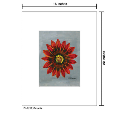 Gazania, Print (#7297)