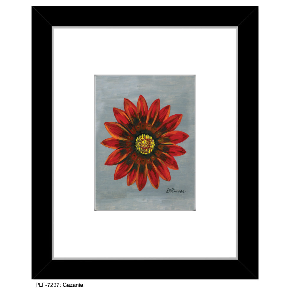 Gazania, Print (#7297)