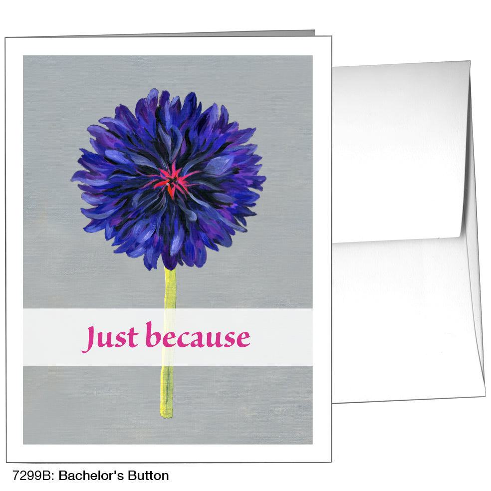 Bachelor's Button, Greeting Card (7299B)