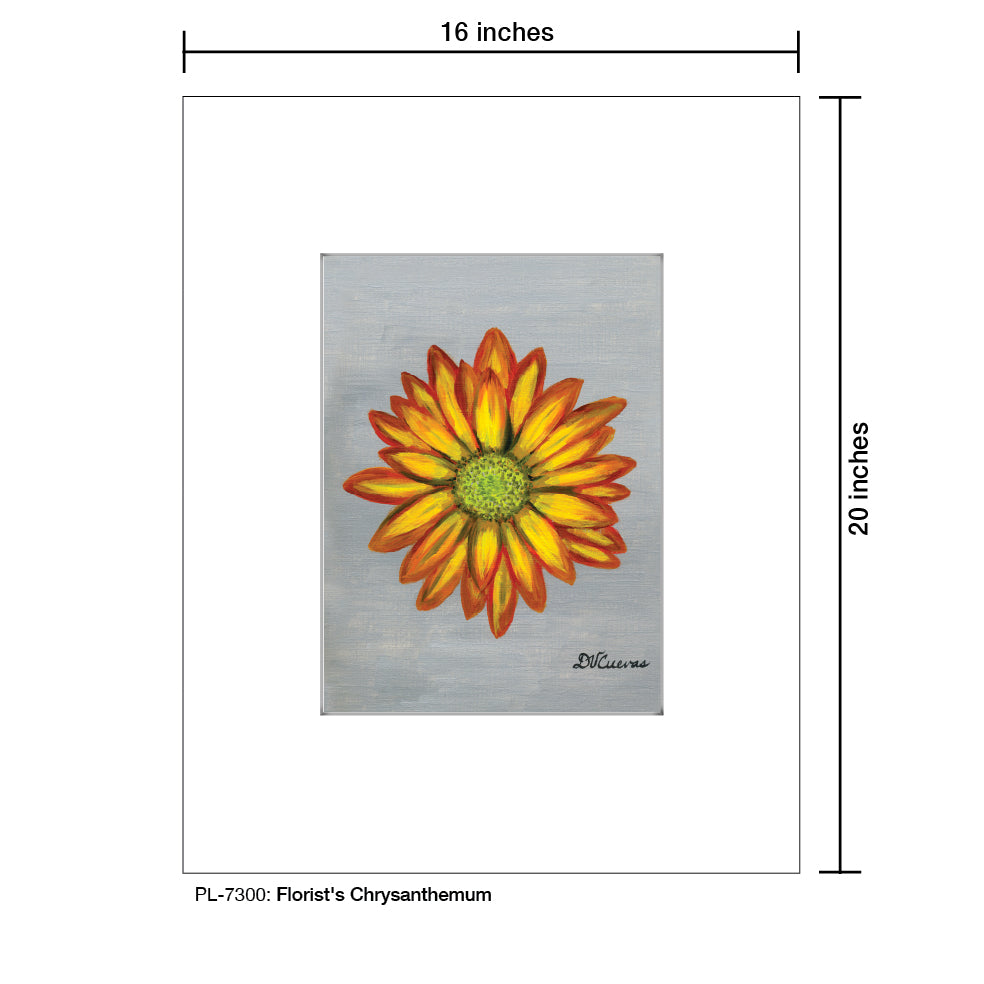 Florist's Chrysanthemum, Print (#7300)