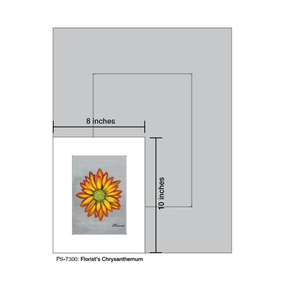 Florist's Chrysanthemum, Print (#7300)