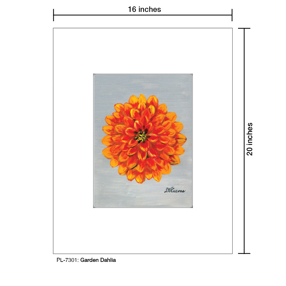 Garden Dahlia, Print (#7301)