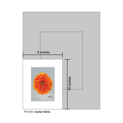 Garden Dahlia, Print (#7301)