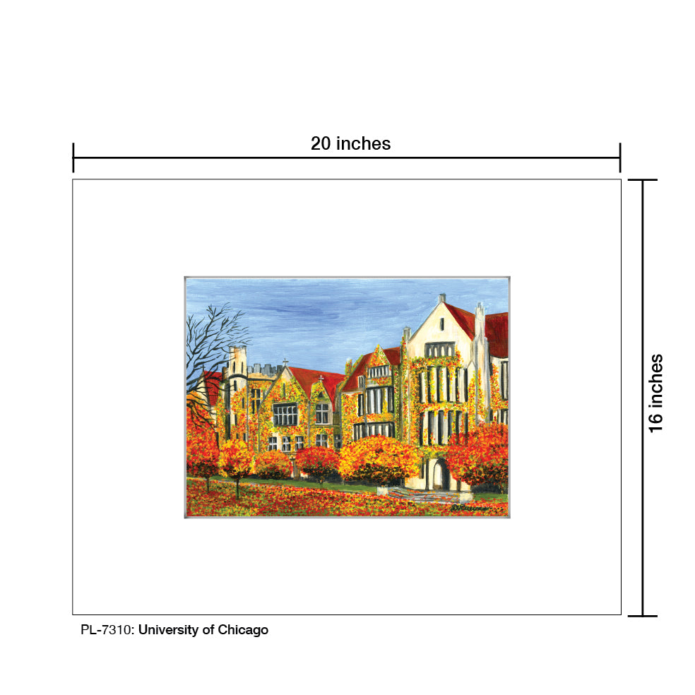 University Of Chicago, Print (#7310)