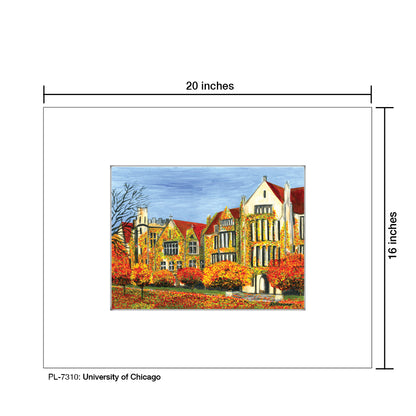 University Of Chicago, Print (#7310)