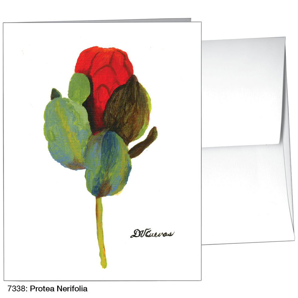 Protea Nerifolia, Greeting Card (7338)