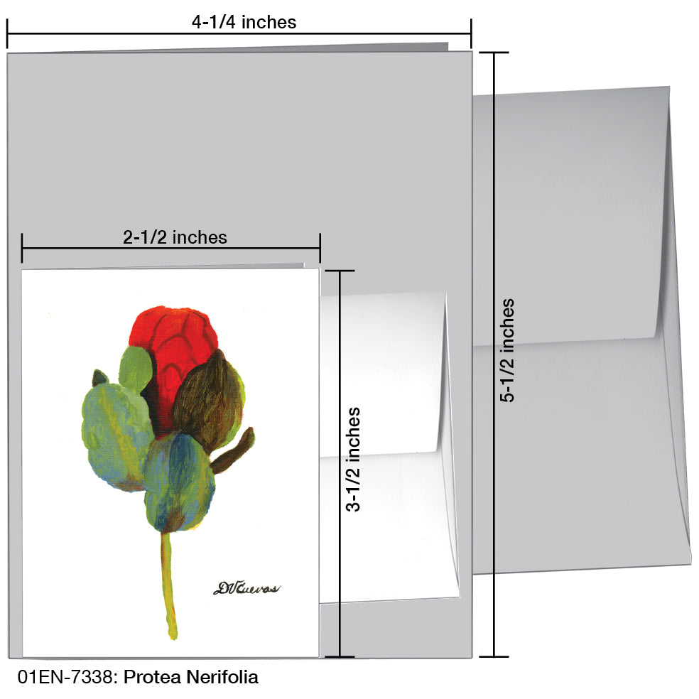 Protea Nerifolia, Greeting Card (7338)