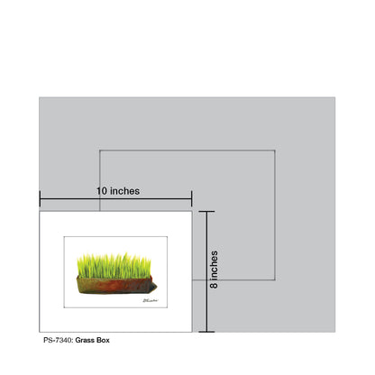 Grass Box, Print (#7340)