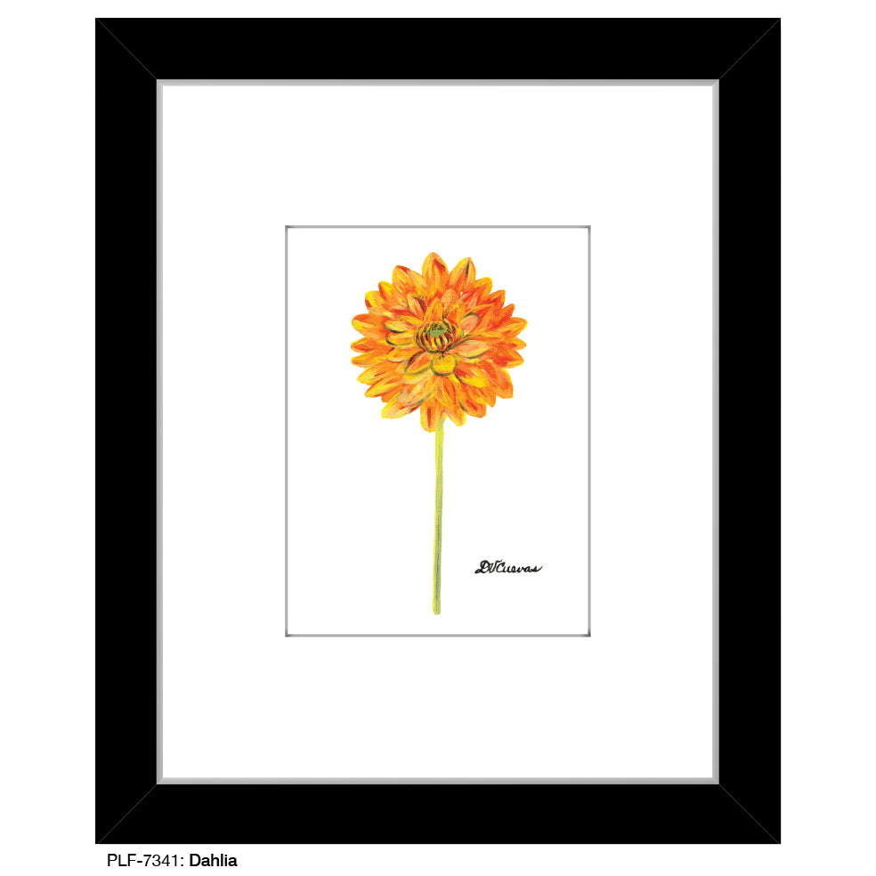 Dahlia, Print (#7341)