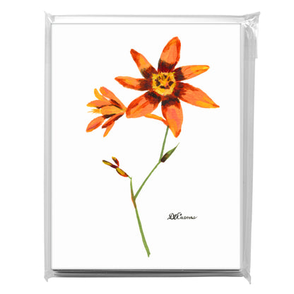 Crocosmia, Greeting Card (7342)