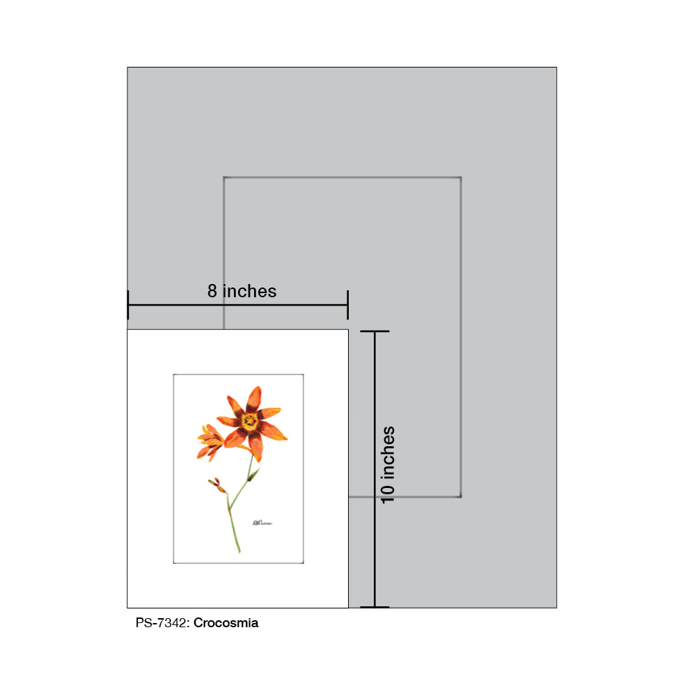 Crocosmia, Print (#7342)