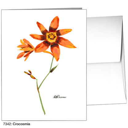 Crocosmia, Greeting Card (7342)