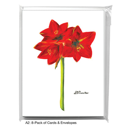 Red Lion Amaryllis, Greeting Card (7356)