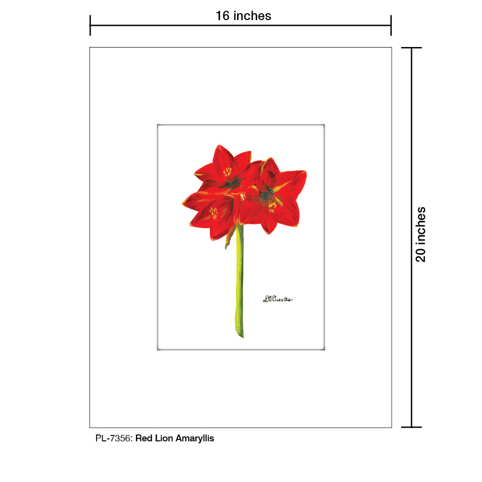 Red Lion Amaryllis, Print (#7356)