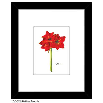 Red Lion Amaryllis, Print (#7356)