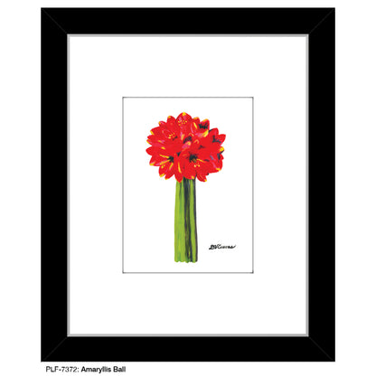 Amaryllis Ball, Print (#7372)