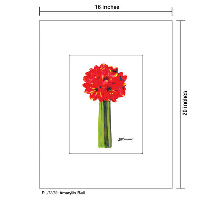 Amaryllis Ball, Print (#7372)