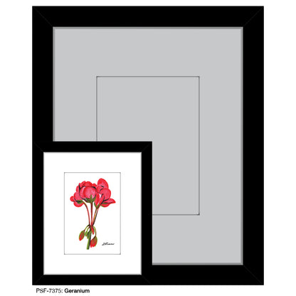 Geranium, Print (#7375)