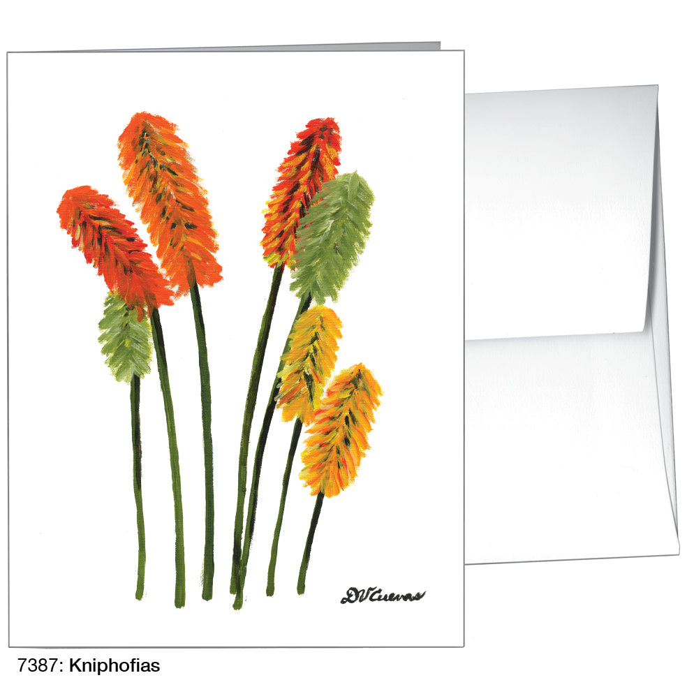 Kniphofias, Greeting Card (7387)