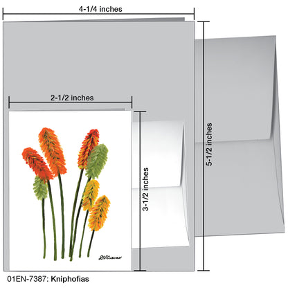 Kniphofias, Greeting Card (7387)