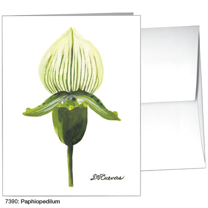 Paphiopedilum, Greeting Card (7390)