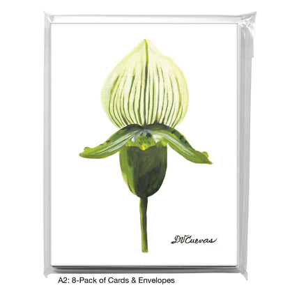 Paphiopedilum, Greeting Card (7390)