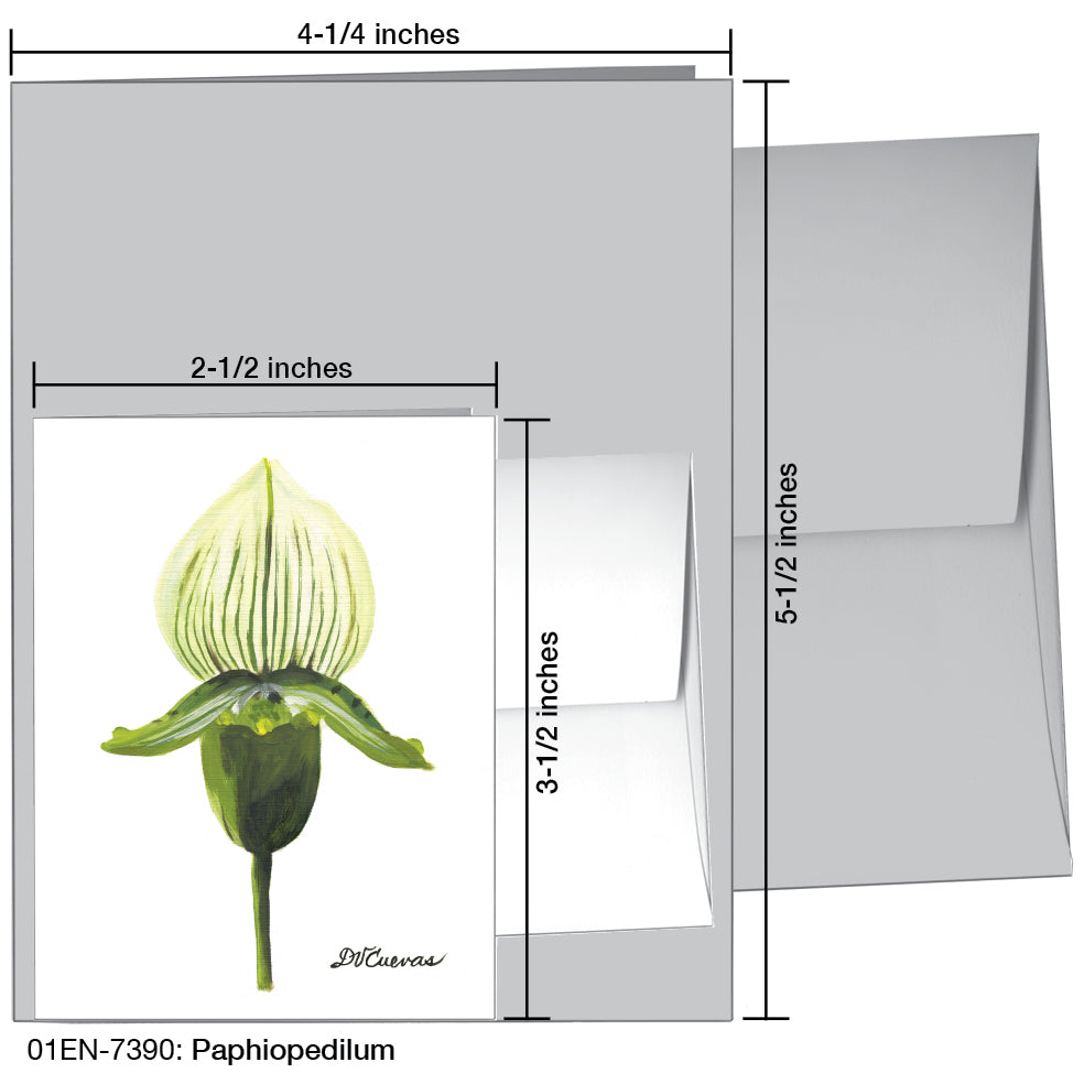 Paphiopedilum, Greeting Card (7390)