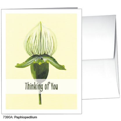 Paphiopedilum, Greeting Card (7390A)