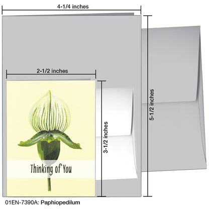 Paphiopedilum, Greeting Card (7390A)