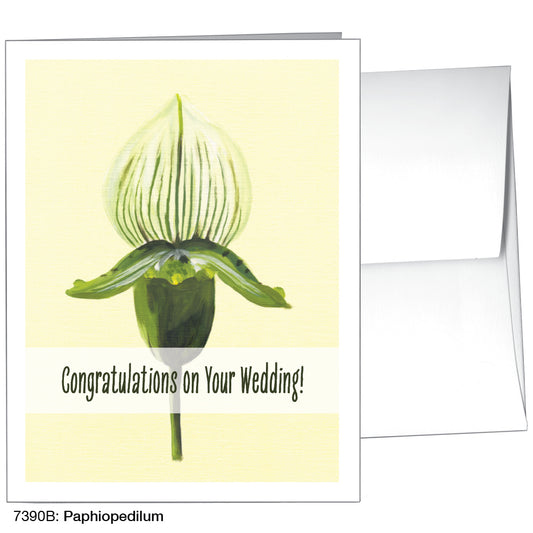 Paphiopedilum, Greeting Card (7390B)