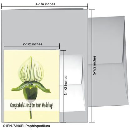 Paphiopedilum, Greeting Card (7390B)