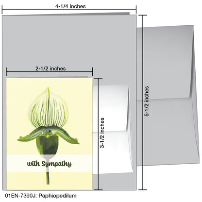 Paphiopedilum, Greeting Card (7390J)