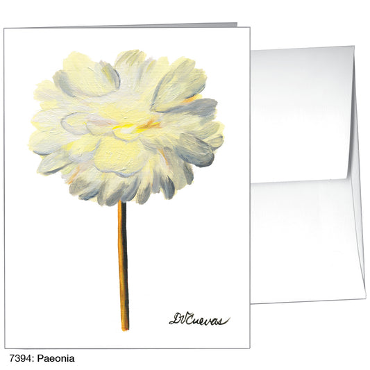 Paeonia, Greeting Card (7394)