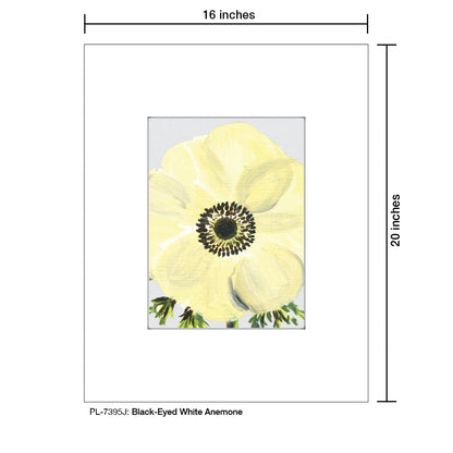 Black-Eyed White Anemone, Print (#7395J)