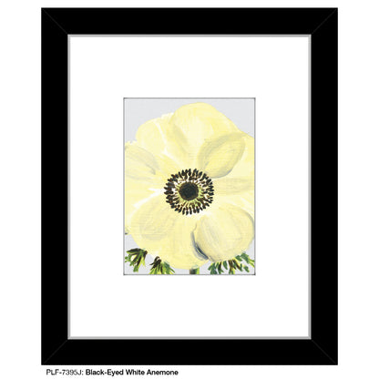 Black-Eyed White Anemone, Print (#7395J)