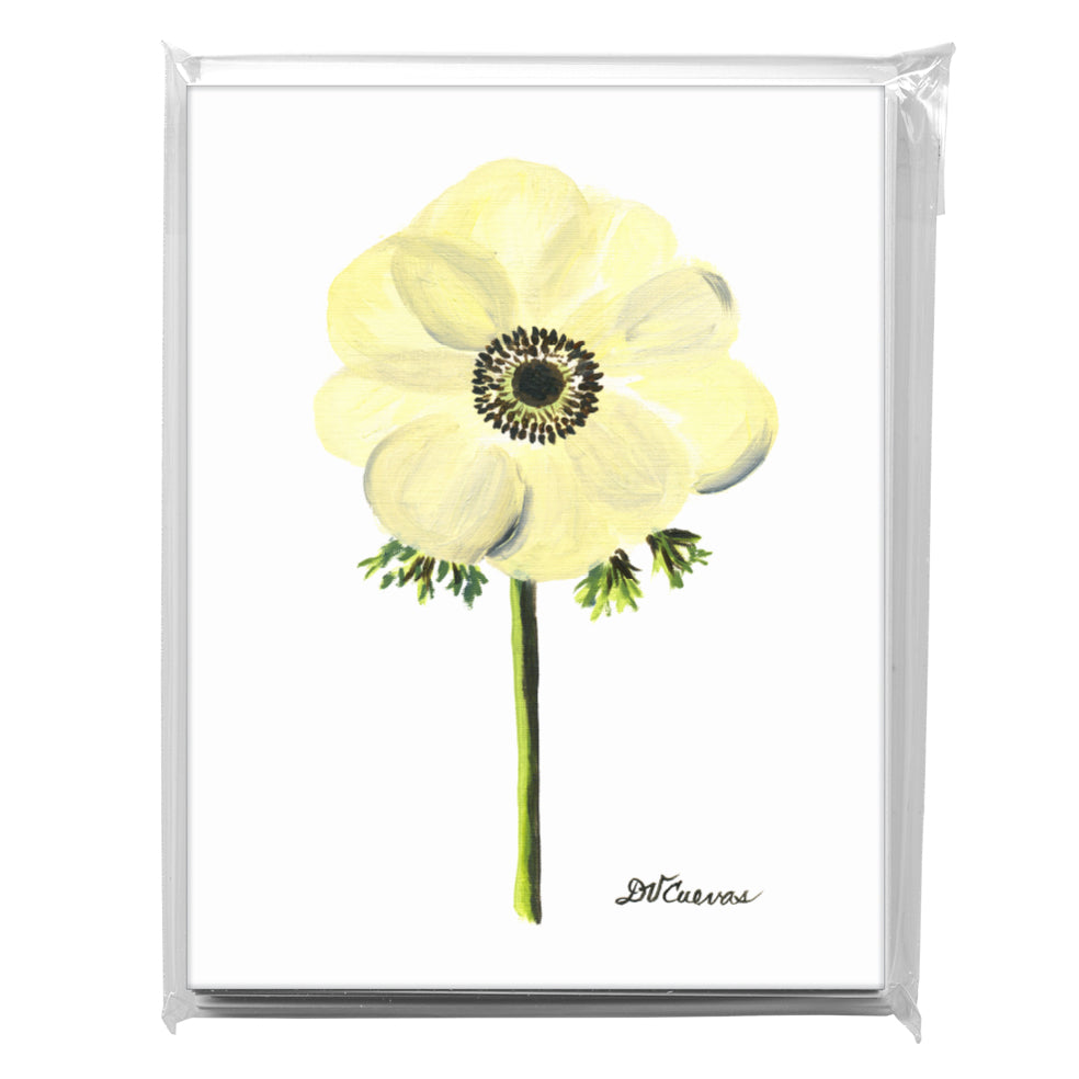 Black-Eyed White Anemone, Greeting Card (7395)