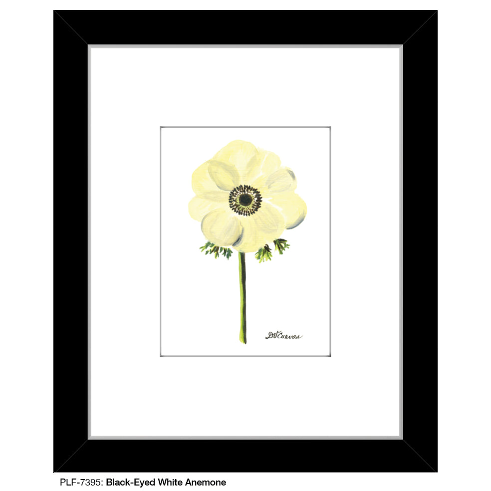 Black-Eyed White Anemone, Print (#7395)