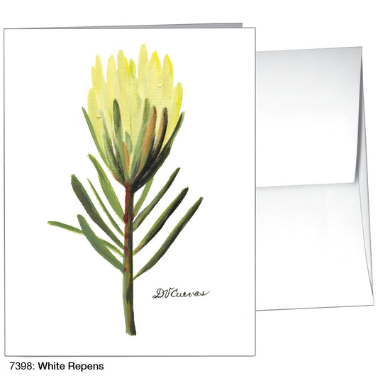 White Repens, Greeting Card (7398)