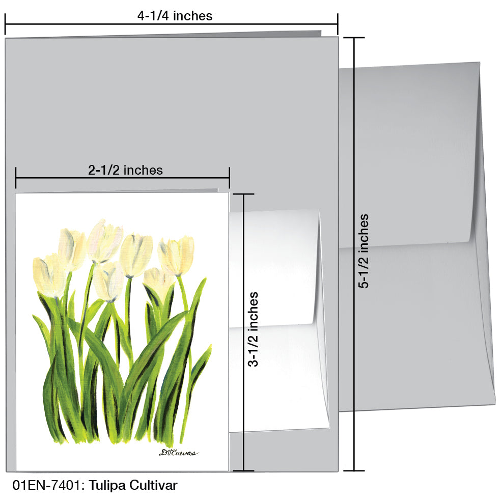 Tulipa Cultivar, Greeting Card (7401)