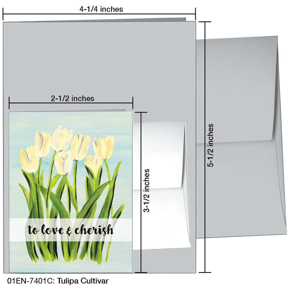 Tulipa Cultivar, Greeting Card (7401C)