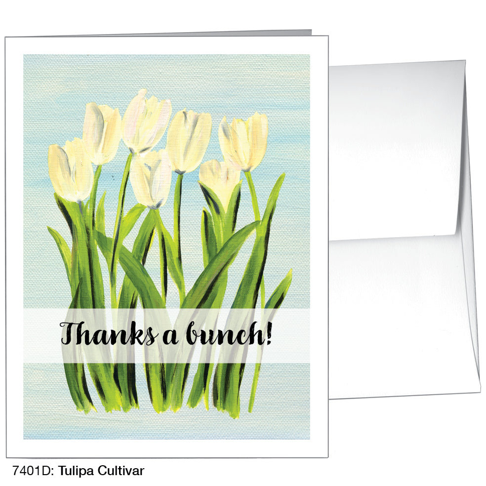 Tulipa Cultivar, Greeting Card (7401D)