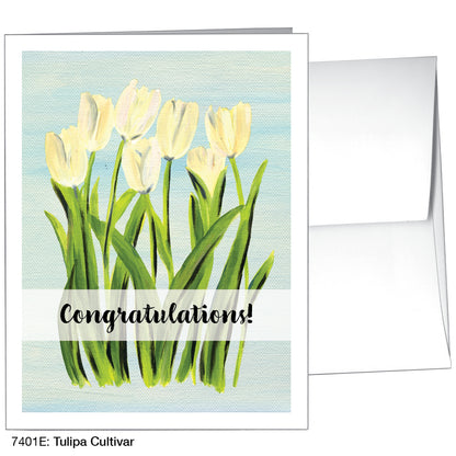 Tulipa Cultivar, Greeting Card (7401E)